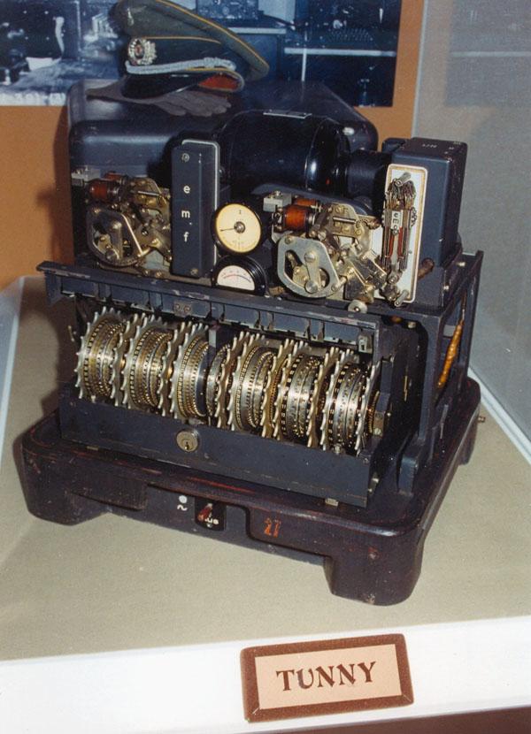 tunny_01.jpg