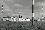 aldergrove_1946_s.jpg