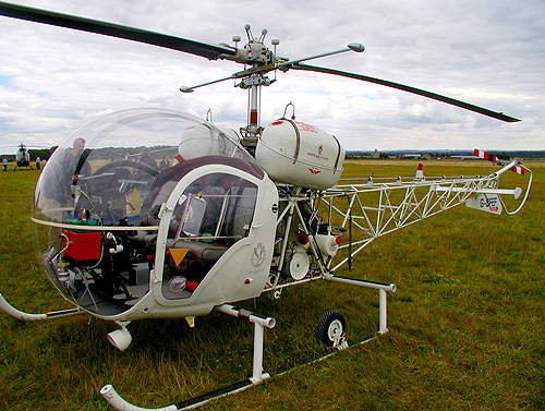 labrador_bell47.jpg