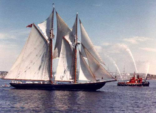 yard_craft_ytr561_318.jpg