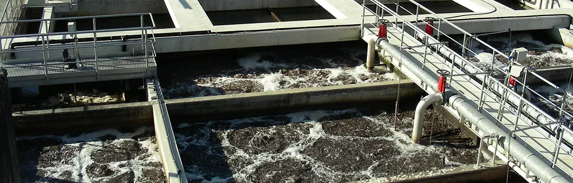 Micropolluants