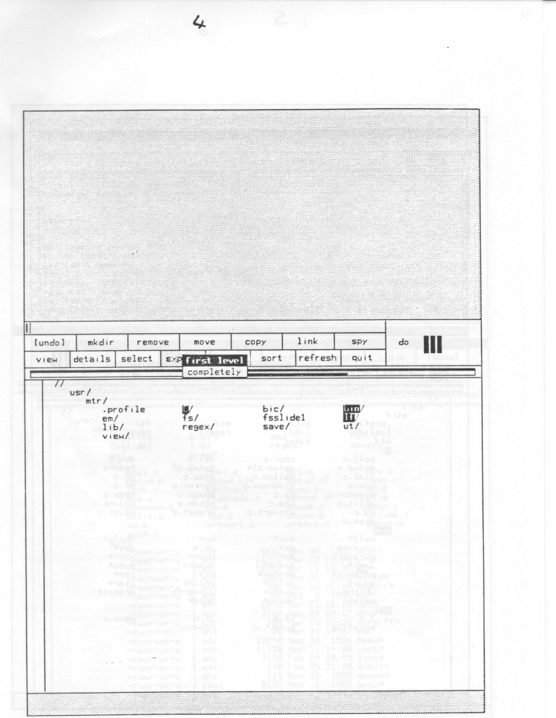 Figure 4: Fs with the current level expanded and some files selected