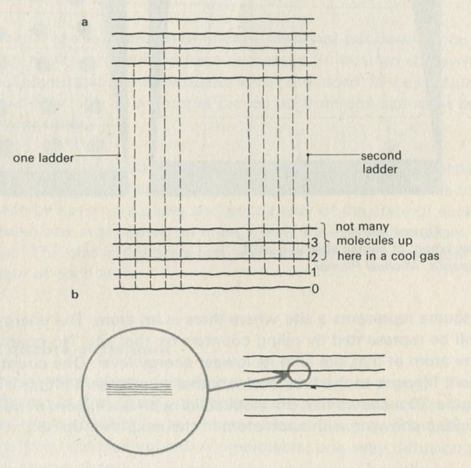 Figure 29