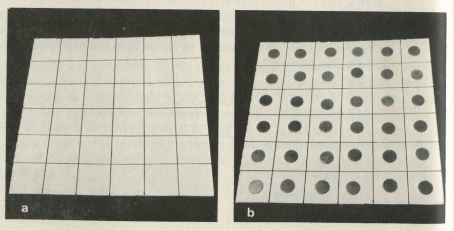 Figure 30: A chess board of atomic sites in a solid. Photographs Michael Plomer