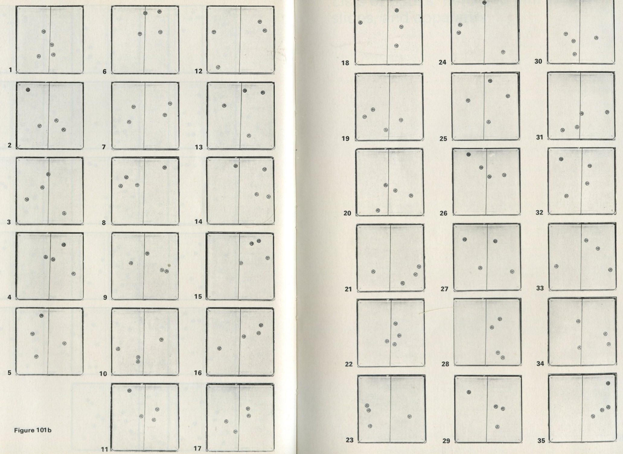 Figure 101b