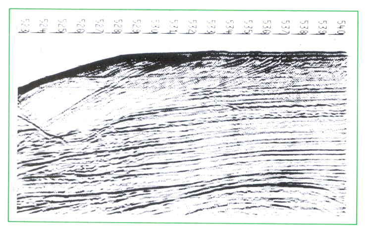 Seismic Trace