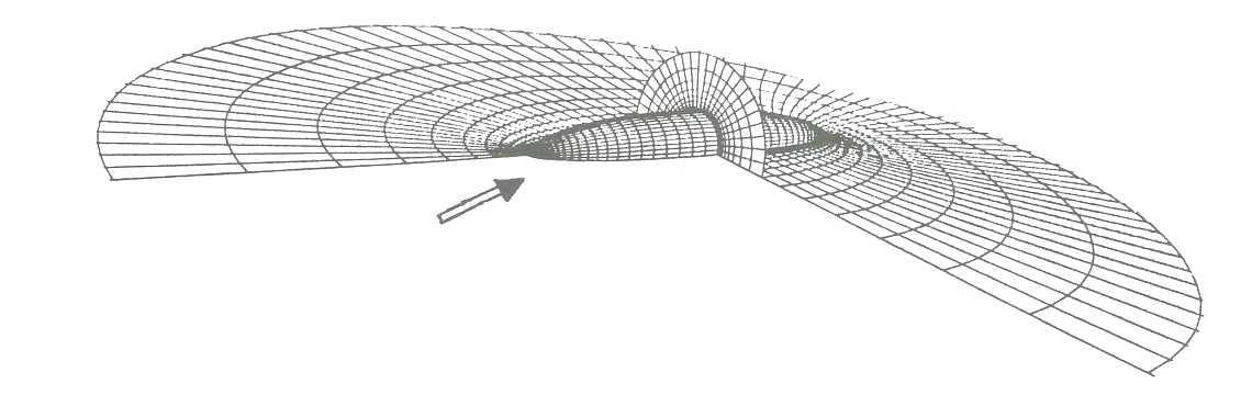 Fig. 1: Numerical grid around prolate spheroid in oncoming air stream 