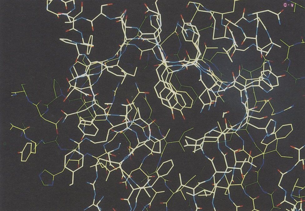 Figure 1. Side chain stacks within the interior of pectate lyase, includes stacks of isoleucines, asparagines and aromatic residues. 