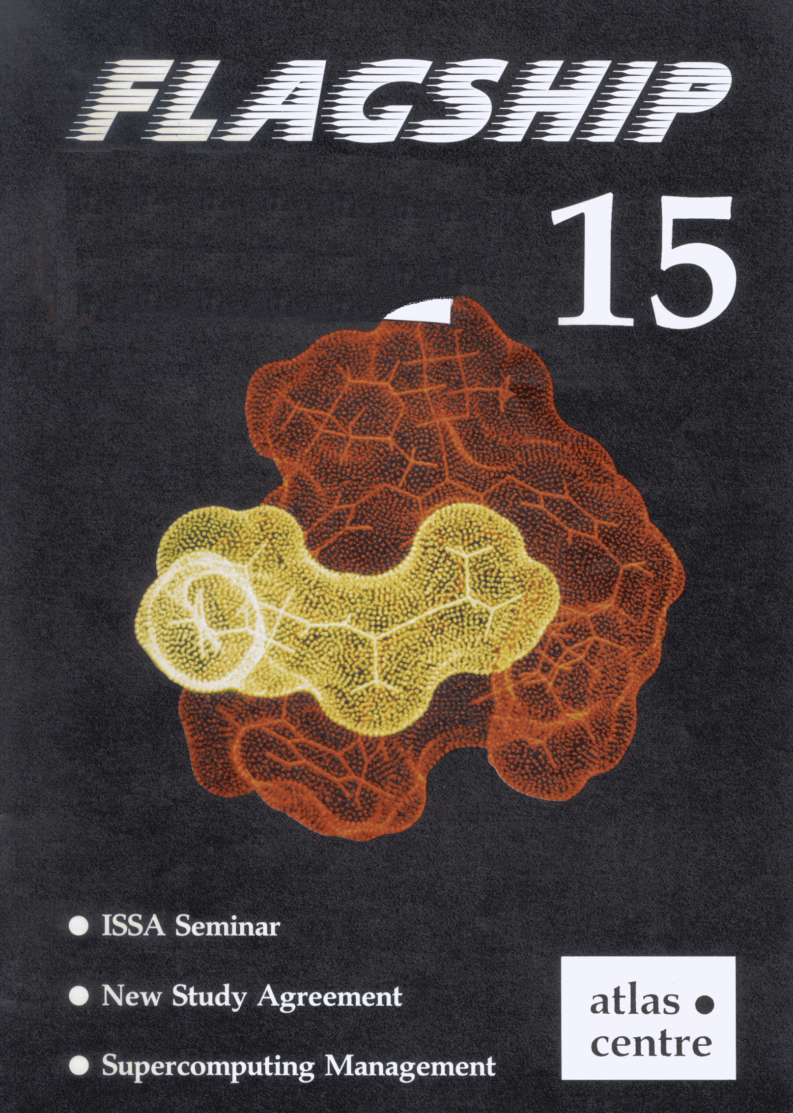 Flagship Issue 15