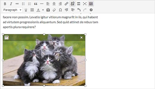 Novità WordPress 3.9: ecco cosa ci aspetta