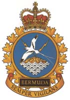 bermuda_badge_s.jpg