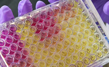Hormonaktive Stoffe