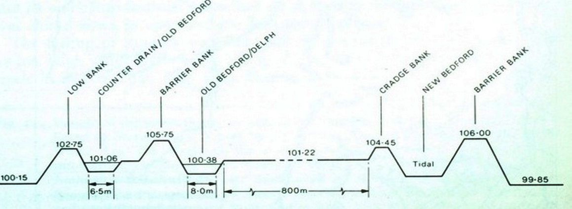 cross-section-1980