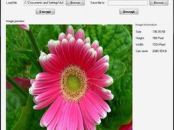 Software in Encryption status