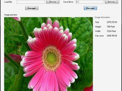 Software in Decryption status