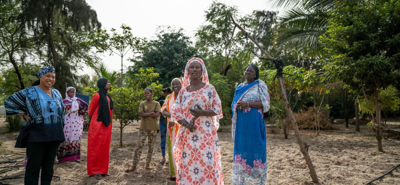 Senegalese women transforming dumpsite into urban gardens.