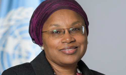 Alice Wairimu Nderitu