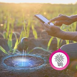 CAP key objective 10