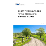 STO summer 2025 report front cover