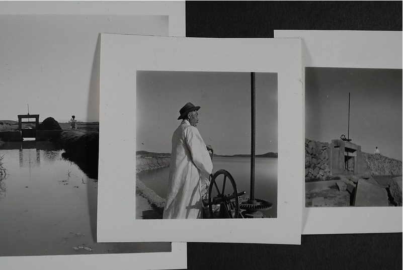 Display of Archival collection in ARMS