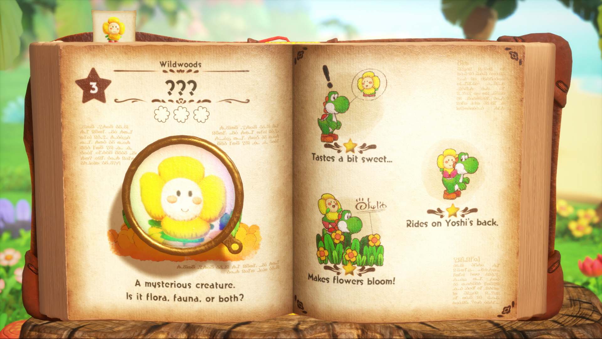Yoshi™ and the Mysterious Book 9