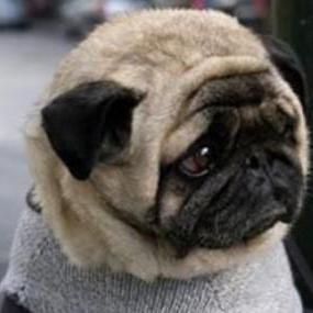 @newmanspace
