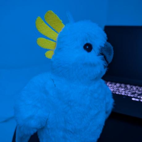 @technobirb