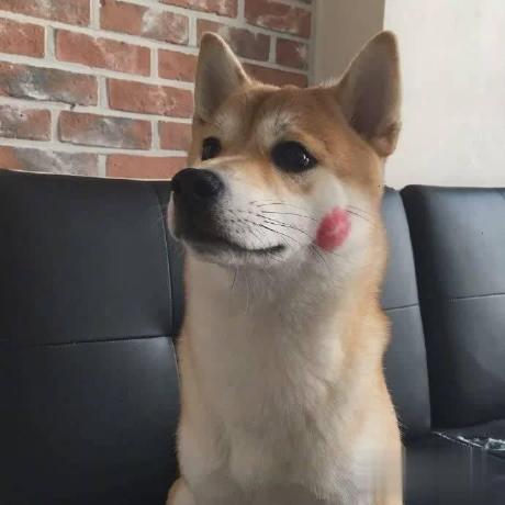 @annoyc