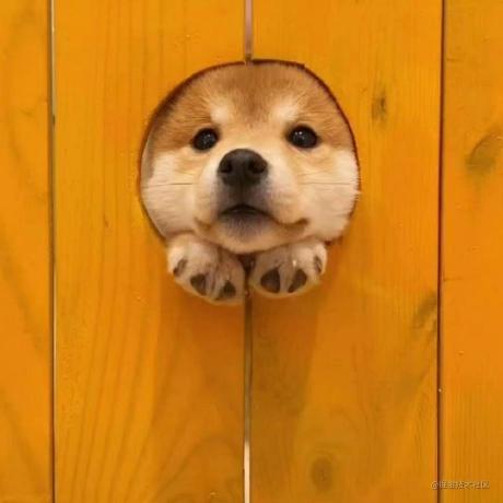 @HSQCoollaughing