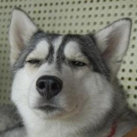 @johnable