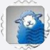 @sheep426