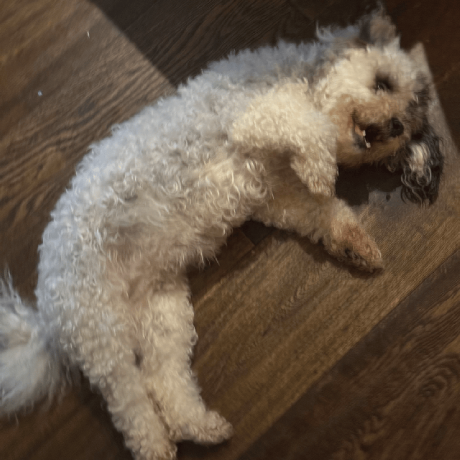 @christianmarrington