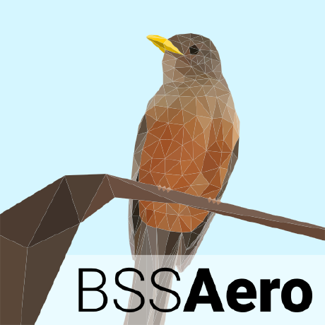 @bss-aero