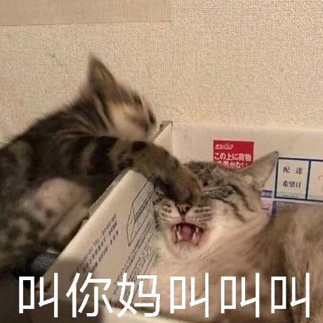 @stupid-h4er