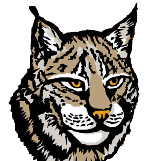 @lynx-chess