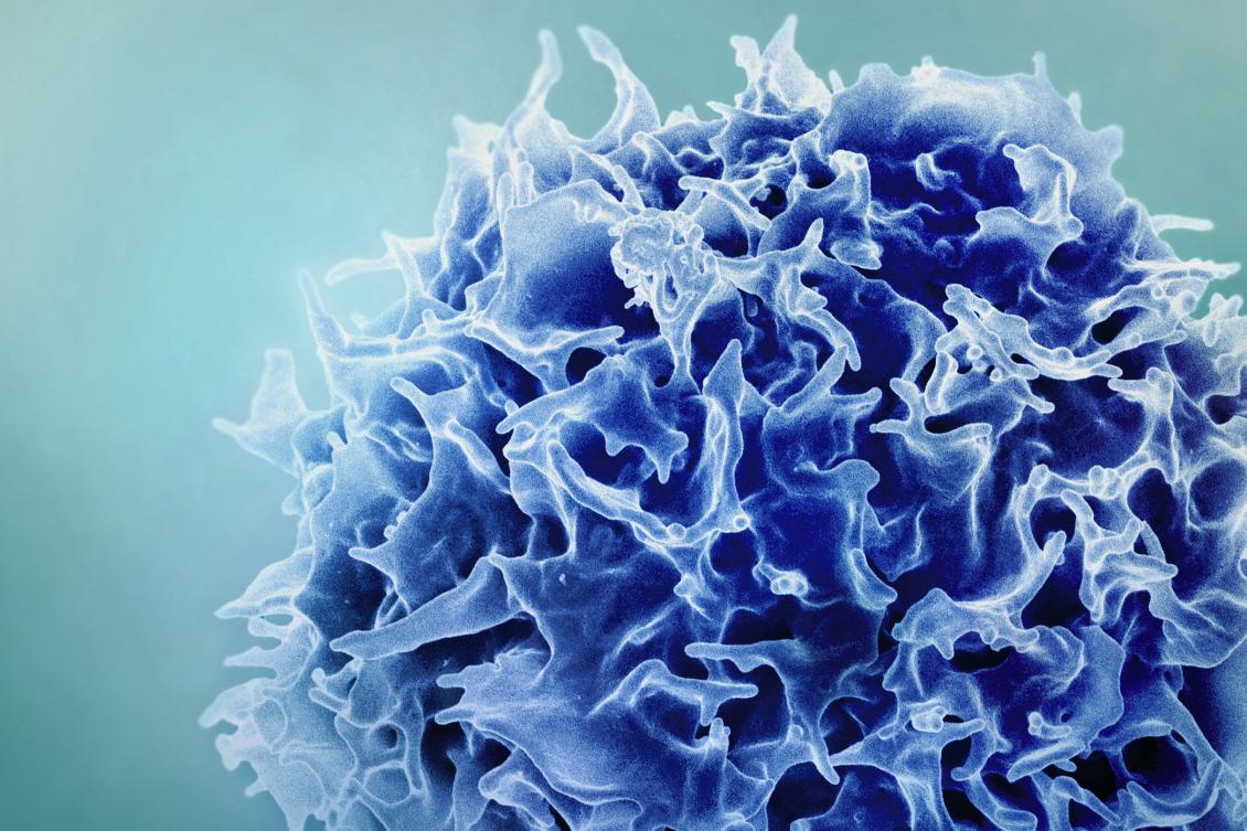 Close up illustration of a t-cell.