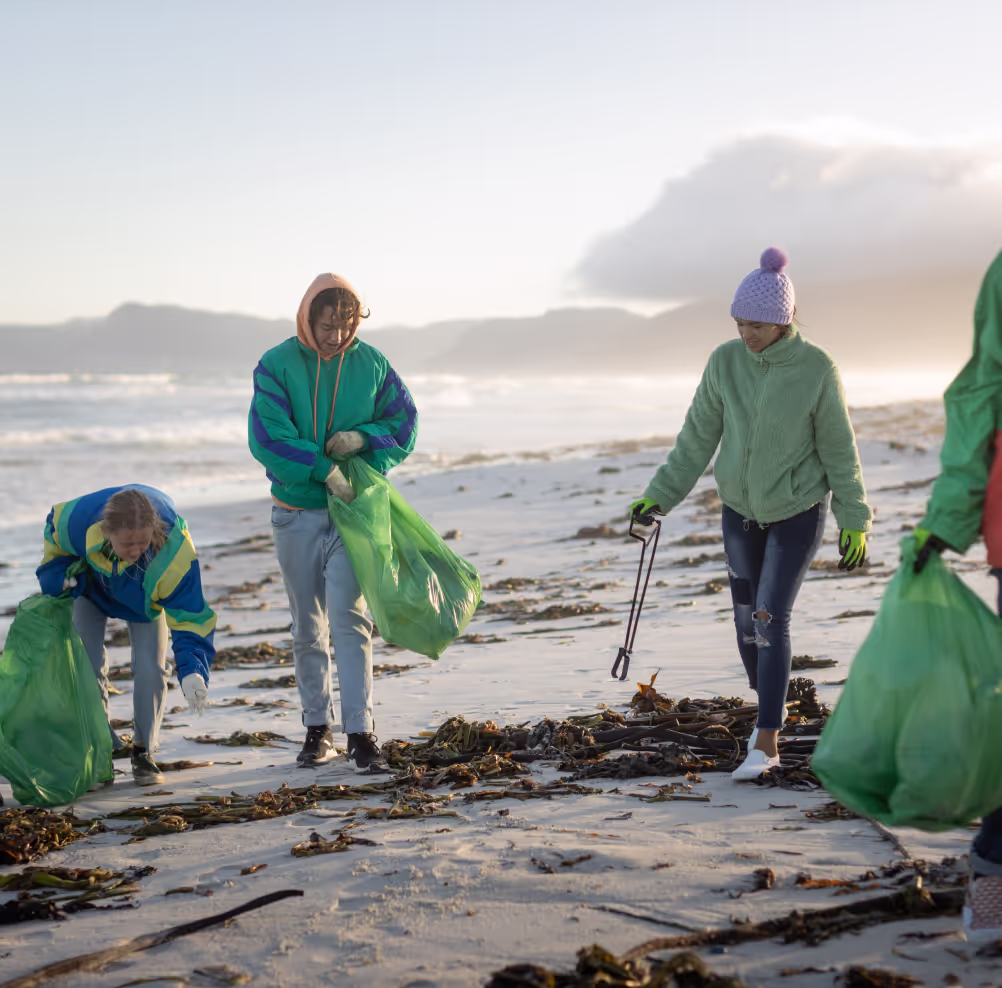 Group of people cleaning up a beach