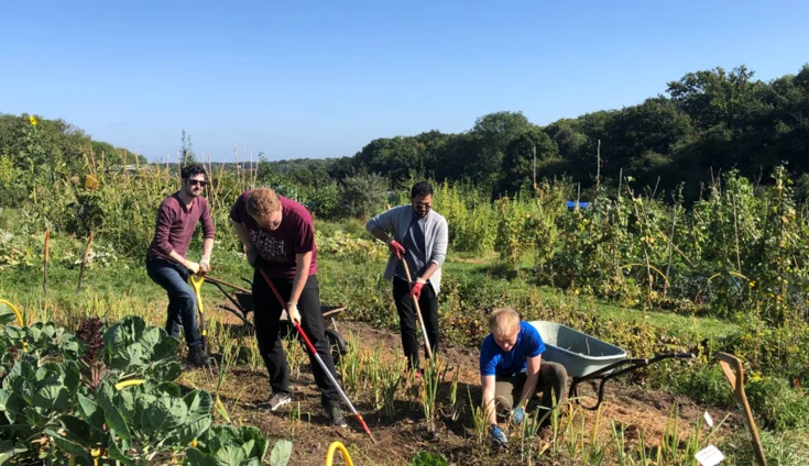 Four people are gardening in a sunny allotment, using tools to dig and tend to plants. A wheelbarrow is nearby, with green plants and trees surrounding them under a clear blue sky.
