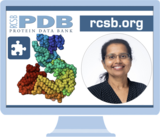 Register Now for Webinar: Exploring Integrative Structures with RCSB.org