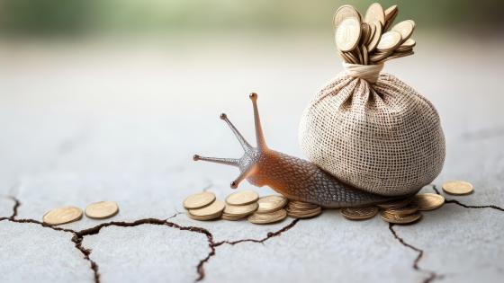 Snail carrying bag of coins