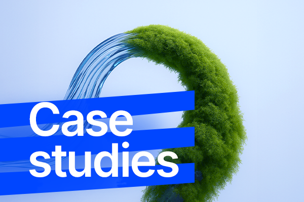 Case studies