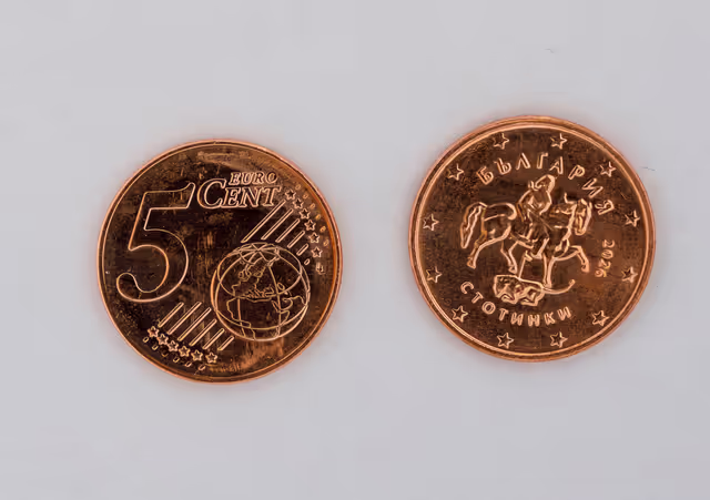 Preparing for the Adoption of the Euro in Sofia (Bulgaria)