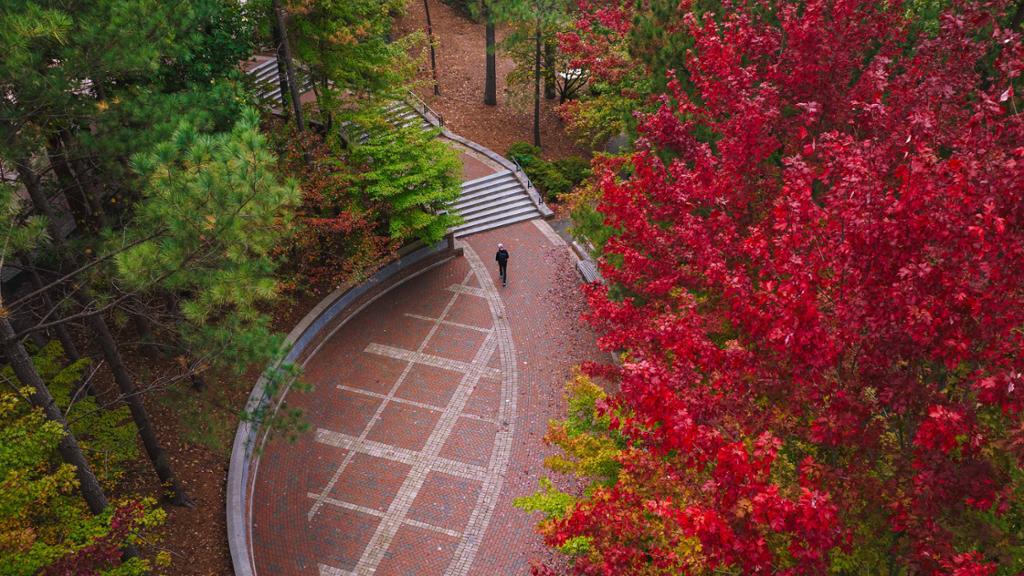Student walking across campus in the fall