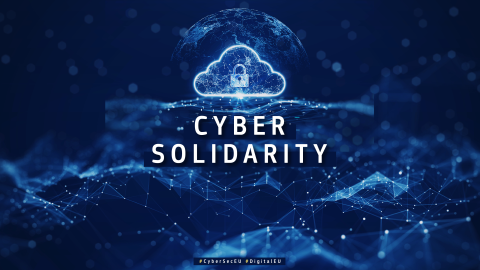 Cyber Solidarity