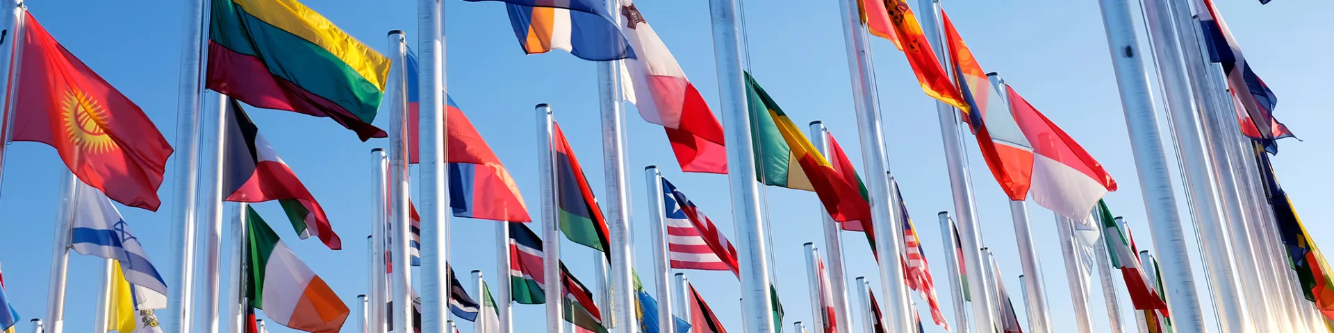 International partners and agencies