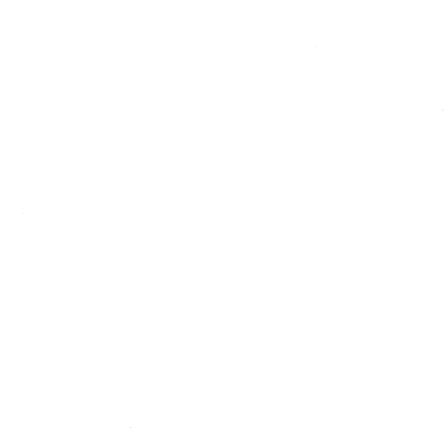 Saint-Dié des Vosges, l'agglomération