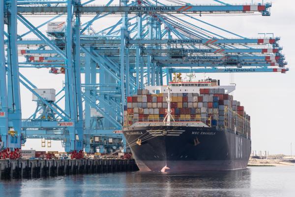 Visit of Adina Vălean, European Commissioner, to The Netherlands