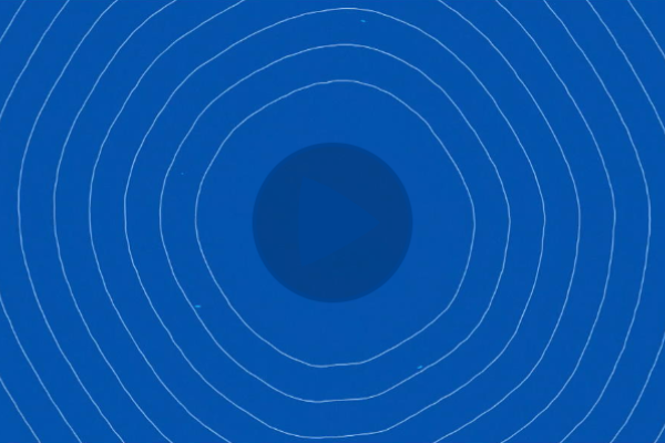 The European Citizens’ Initiative: Your right as an EU citizen Video