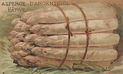 Représentation d'asperges hâtives d'Argenteuil