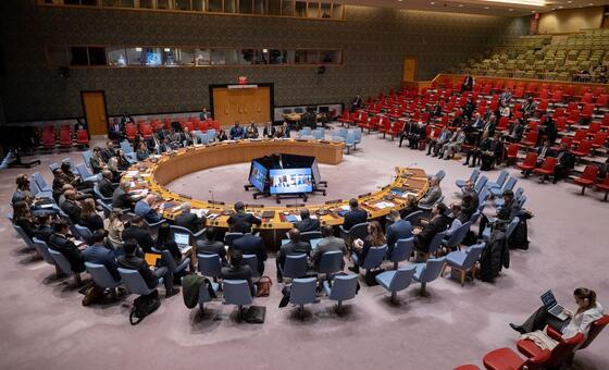 A wide view of the Security Council open debate on the rule of law.